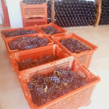 Fuoco D'amalfi Iazzetta Πανσιόν