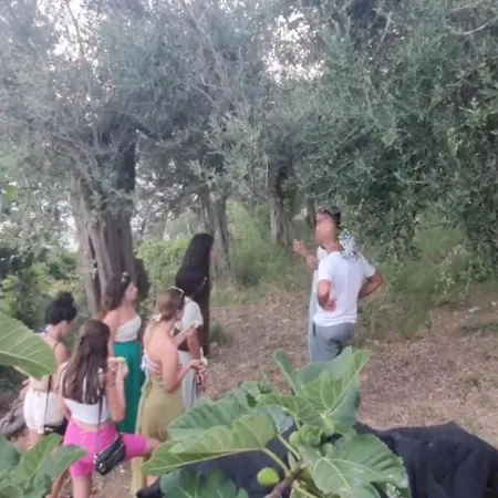 Gasthuis Fuoco D'amalfi Iazzetta 2*