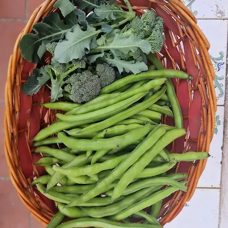 招待所 Fuoco D'amalfi Iazzetta